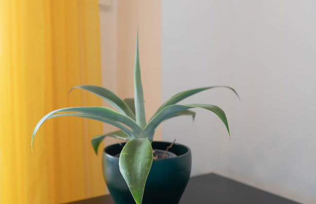 Marina De La Duquesa 805 - Foto 27