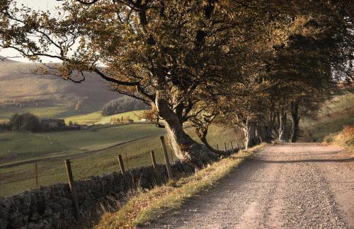Eastside - Architect designed retreat with wood-fired sauna - Foto 43