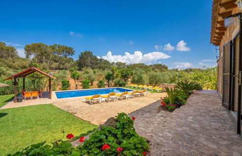 El Bosque Candy - Foto 8