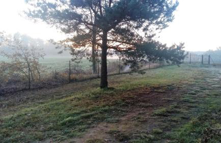 Kraniec Świata - Zachwyca Krajobrazem, Regeneruje Ciszą i Komfortem - Foto 46