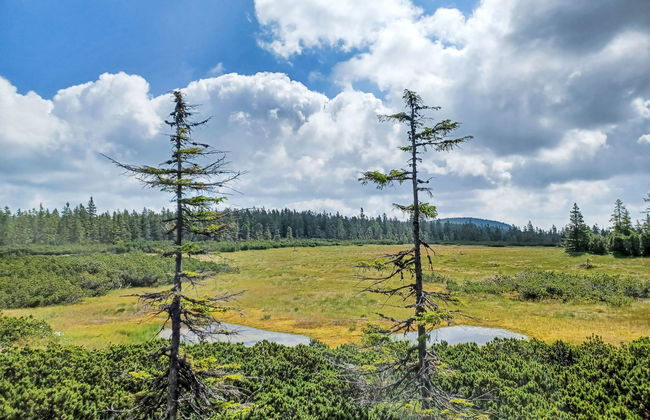 Černý Důl - Foto 35