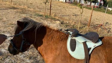 Monte da Rochela - Foto 2