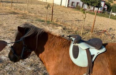 Monte da Rochela - Foto 2