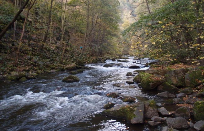 Family-friendly Timmenrode Stay - Foto 27