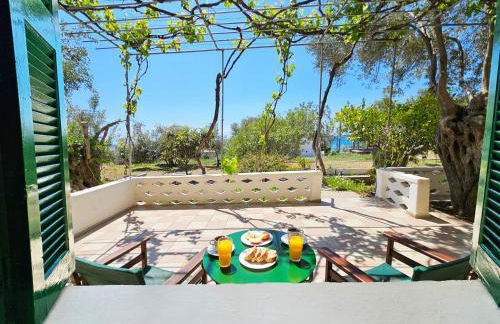 Studio Popi - Foto 13