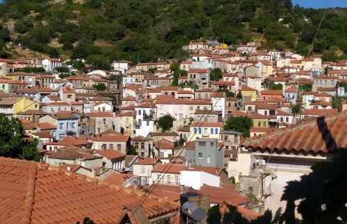 Διώροφο πέτρινο σπίτι με θέα Agiasos Classic Stone House - Foto 21