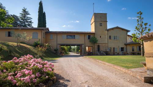 Agriturismo Le Cerque - Photo 2, Garden