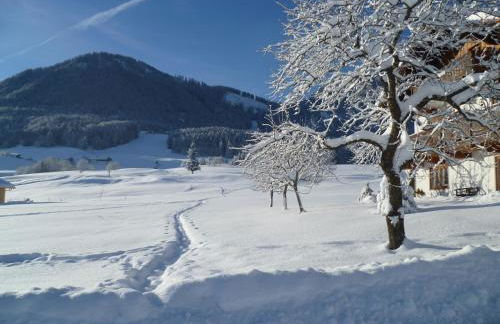 Ferienwohnungen Hollweger inkl. Chiemgaukarte - Foto 2