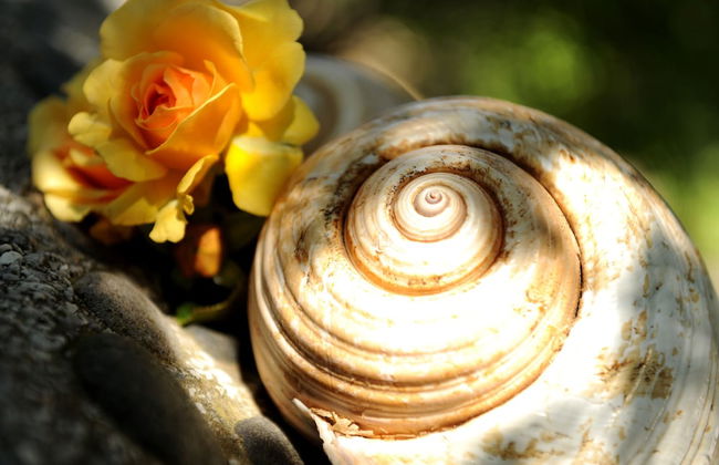 Andros Maisonettes - Foto 17