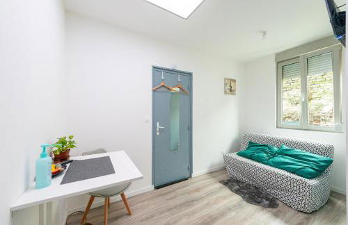 Studianzin - Foto 11