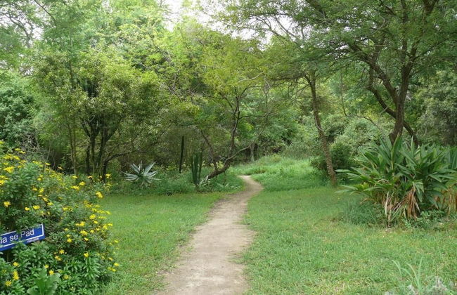 3 bed Bush-tent Under 3 Trees, for Couple Plus Chaperone Free Lionhyena Sounds - Foto 19