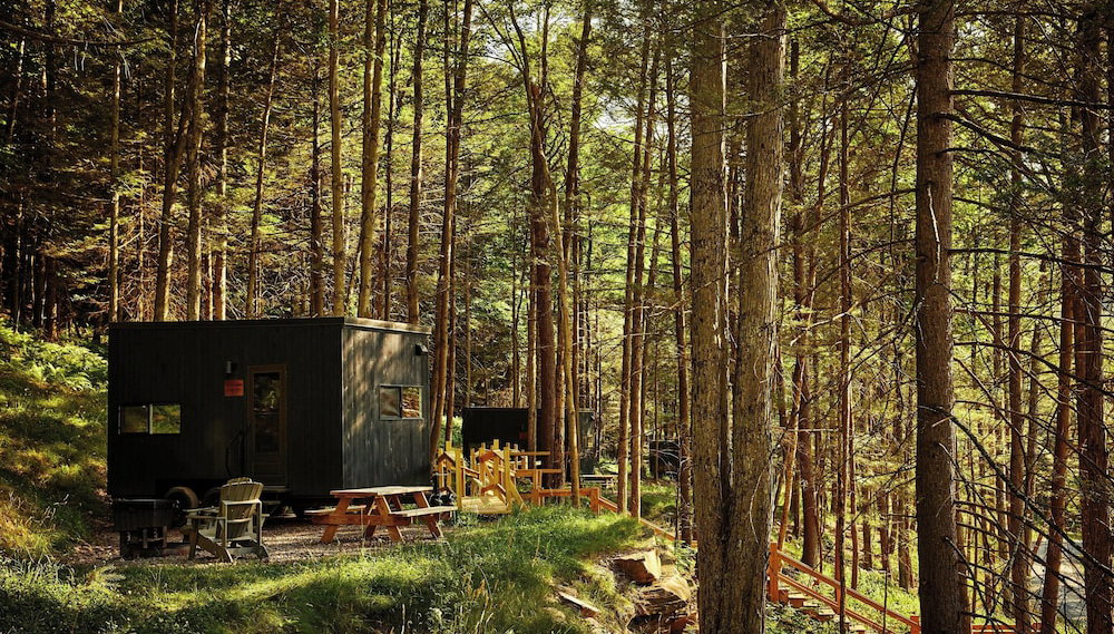 Postcard Cabins Eastern Catskills, Outdoor Collection by Marriott Bonvoy - Foto 1, Imagen principal