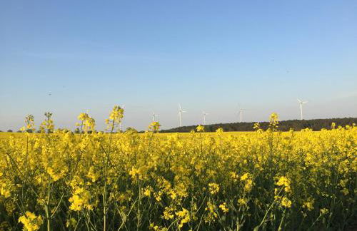 Ferienhaus Biene - Photo 67