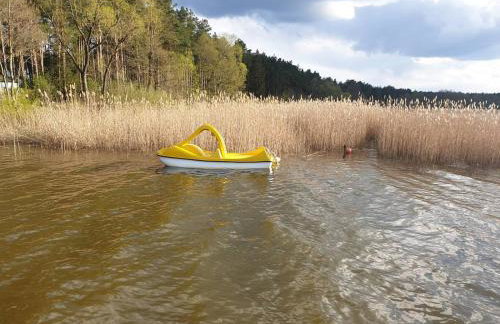 Domek w Borach Tucholskich - Wycinki - Foto 51