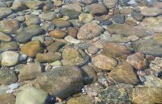 Δίπλα στο κύμα -Βeside the wave - Photo 42