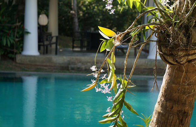 Villas Gabrielle - Foto 22