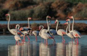 Domus Deiana Case Vacanza - Foto 26