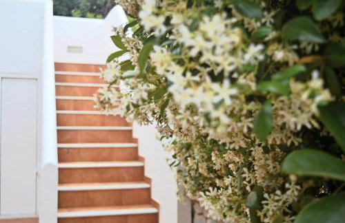 Malvazios Villas #7 - Foto 5