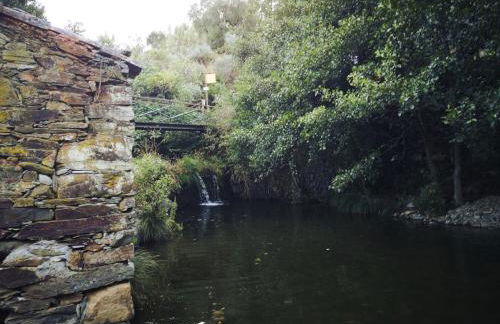 Aroma das Tílias - Foto 35