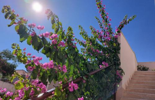 Apartments Lavanda - free parking and grill - Foto 7