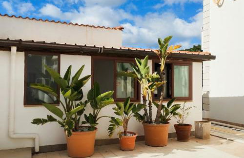 ROSA del SUD - Foto 1