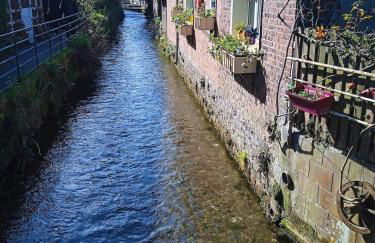 La Sâane - Domaine du Presbytère - Foto 8