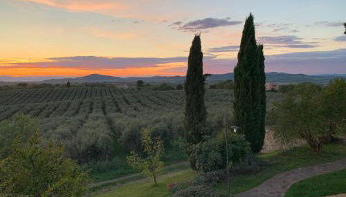 Villa Preselle Country Resort - Foto 3, Garden