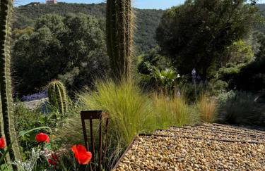 La roche aux mouettes Ile du Levant - Foto 63