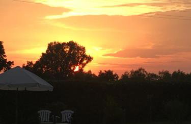 Niebieski Domek - Foto 49