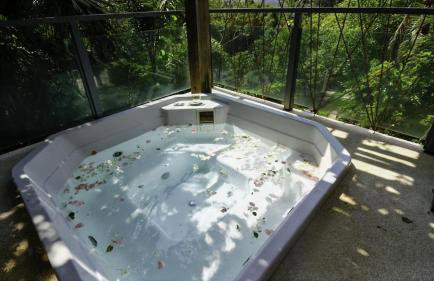 Sitio Cambara Iara Refugio tranquilo na natureza - Foto 40