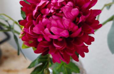 Villa Levilia - Foto 11