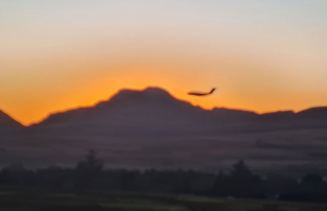 Rhiw Goch Inn Holiday Home - Photo 23