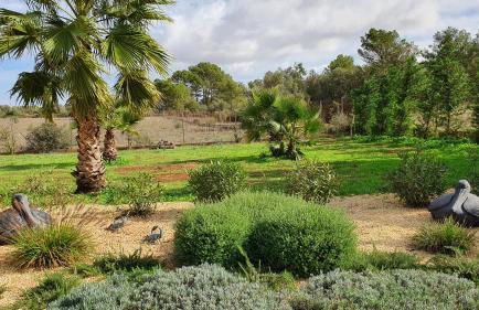 Finca Son Amal - Foto 10