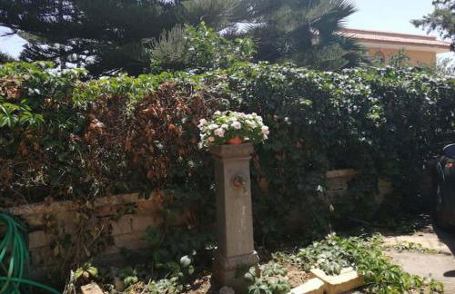 Mater Christi - Foto 51