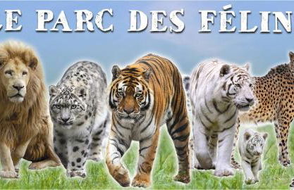 Maison du Lavoir Disneyland - Foto 22