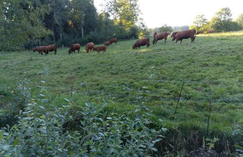 Ferienwohnung Schwarzwald-Alpenblick - Foto 19