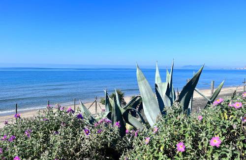 Casa duna sulla spiaggia - Foto 1