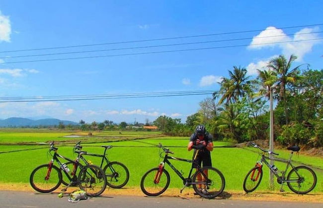 Green Areca villa - Photo 17