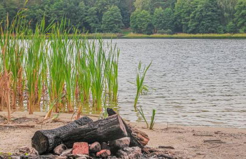 Cozy Home In Stara Dobrzyca With Wifi - Foto 20