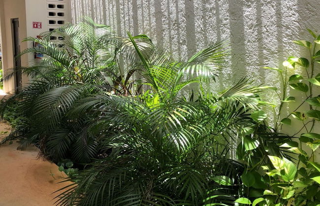 Downtown Suites Cancun - Photo 17