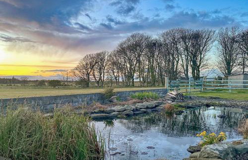 Rhunahaorine Cottage - Foto 17