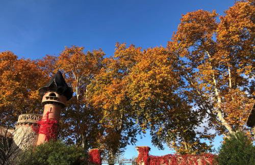 Terrasse avec vue Domaine Viticole - Foto 20
