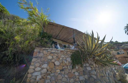 Agave direclty on the beach - Goelba - Foto 27