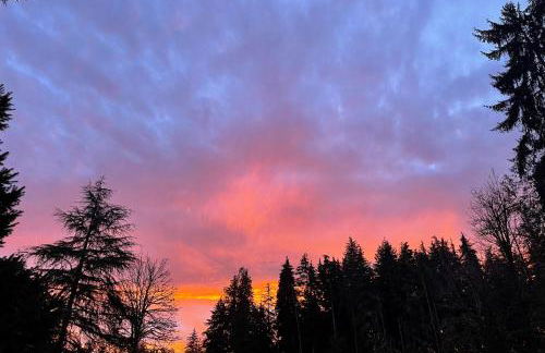 Moonlight House - Foto 47