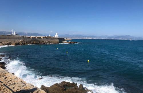 Vieil Antibes, ravissant 2p avec petite terrasse - Foto 31