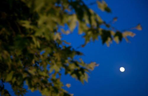 Villa Niki - Foto 28