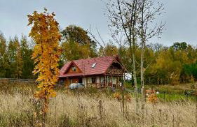 Czapla i Żuraw - Foto 1