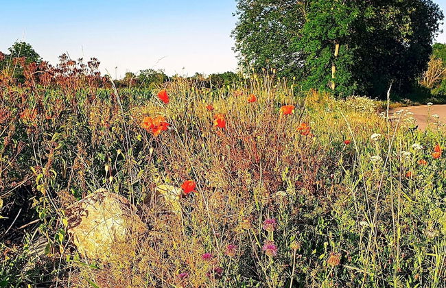 6 Person Holiday Home in Kopingsvik-by Traum - Foto 17