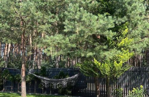 DOMKI Leśna Cisza jezioro Powidzkie dla 18 osób - 5D Apartments - Foto 51