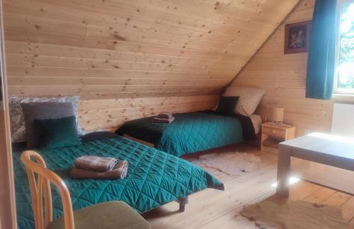 Dzika Polana - Foto 7